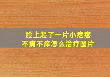 脸上起了一片小疙瘩不痛不痒怎么治疗图片