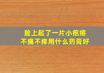 脸上起了一片小疙瘩不痛不痒用什么药膏好