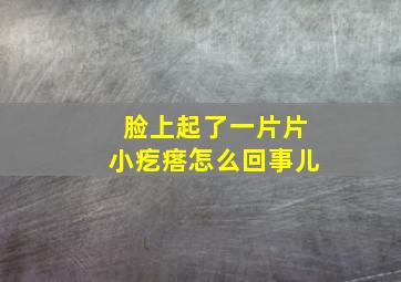 脸上起了一片片小疙瘩怎么回事儿