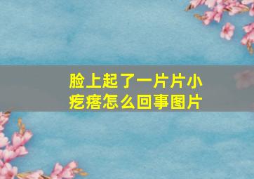 脸上起了一片片小疙瘩怎么回事图片