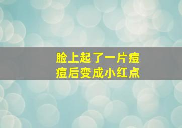 脸上起了一片痘痘后变成小红点