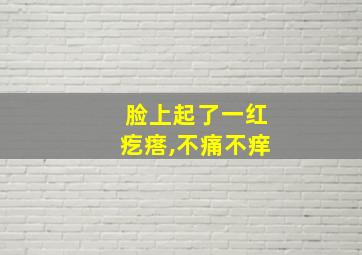 脸上起了一红疙瘩,不痛不痒