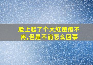 脸上起了个大红疙瘩不疼,但是不消怎么回事