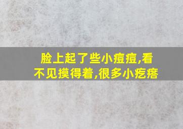 脸上起了些小痘痘,看不见摸得着,很多小疙瘩