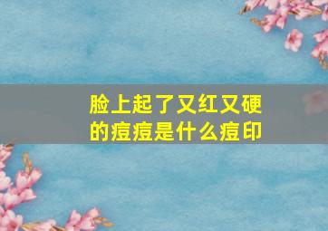 脸上起了又红又硬的痘痘是什么痘印