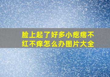 脸上起了好多小疙瘩不红不痒怎么办图片大全