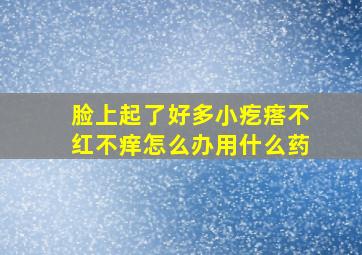 脸上起了好多小疙瘩不红不痒怎么办用什么药