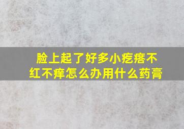 脸上起了好多小疙瘩不红不痒怎么办用什么药膏