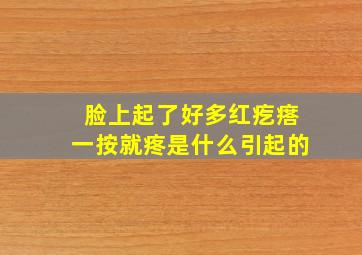 脸上起了好多红疙瘩一按就疼是什么引起的