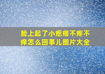 脸上起了小疙瘩不疼不痒怎么回事儿图片大全