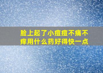 脸上起了小痘痘不痛不痒用什么药好得快一点