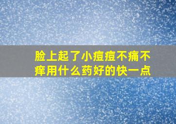 脸上起了小痘痘不痛不痒用什么药好的快一点