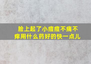 脸上起了小痘痘不痛不痒用什么药好的快一点儿