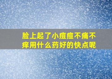 脸上起了小痘痘不痛不痒用什么药好的快点呢