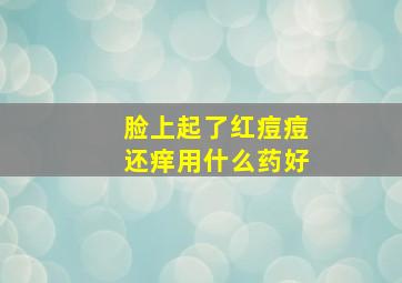 脸上起了红痘痘还痒用什么药好