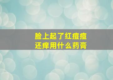 脸上起了红痘痘还痒用什么药膏