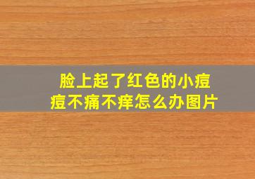 脸上起了红色的小痘痘不痛不痒怎么办图片