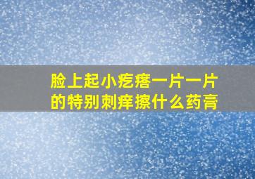 脸上起小疙瘩一片一片的特别刺痒擦什么药膏