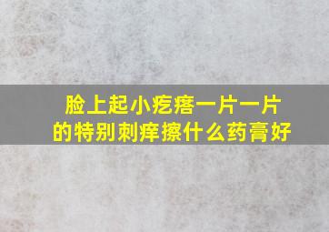 脸上起小疙瘩一片一片的特别刺痒擦什么药膏好