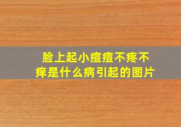 脸上起小痘痘不疼不痒是什么病引起的图片