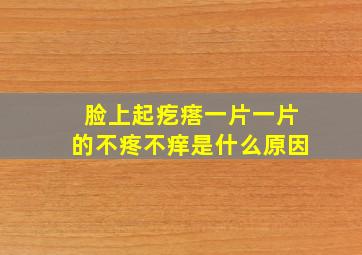 脸上起疙瘩一片一片的不疼不痒是什么原因