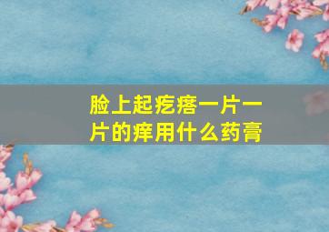 脸上起疙瘩一片一片的痒用什么药膏