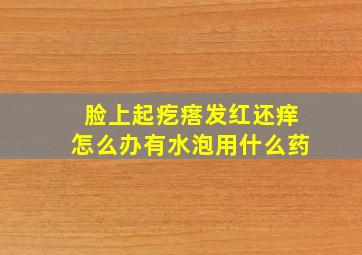 脸上起疙瘩发红还痒怎么办有水泡用什么药