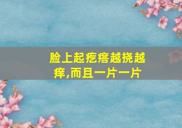 脸上起疙瘩越挠越痒,而且一片一片