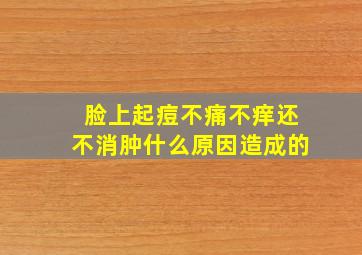 脸上起痘不痛不痒还不消肿什么原因造成的