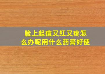 脸上起痘又红又疼怎么办呢用什么药膏好使