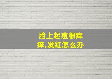 脸上起痘很痒痒,发红怎么办