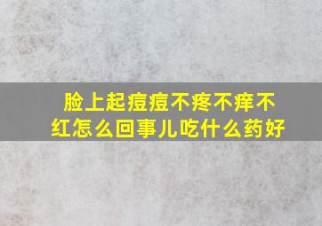 脸上起痘痘不疼不痒不红怎么回事儿吃什么药好