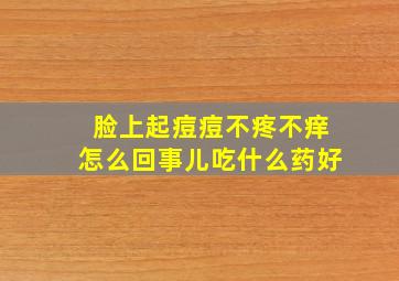 脸上起痘痘不疼不痒怎么回事儿吃什么药好