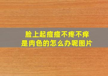 脸上起痘痘不疼不痒是肉色的怎么办呢图片