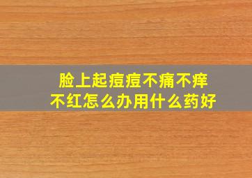 脸上起痘痘不痛不痒不红怎么办用什么药好