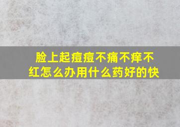 脸上起痘痘不痛不痒不红怎么办用什么药好的快