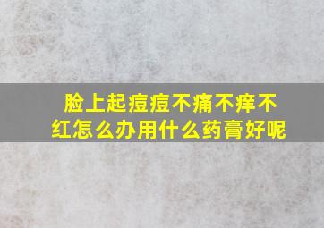 脸上起痘痘不痛不痒不红怎么办用什么药膏好呢