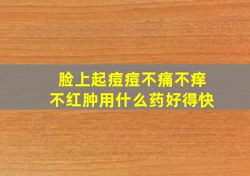 脸上起痘痘不痛不痒不红肿用什么药好得快