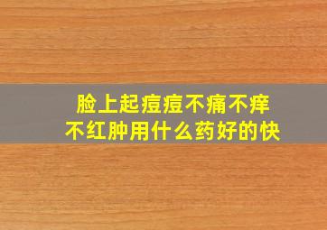 脸上起痘痘不痛不痒不红肿用什么药好的快