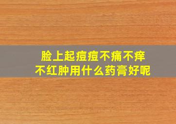 脸上起痘痘不痛不痒不红肿用什么药膏好呢