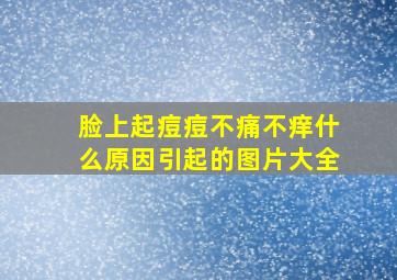 脸上起痘痘不痛不痒什么原因引起的图片大全