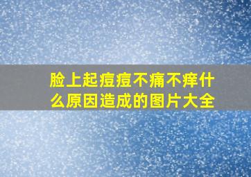 脸上起痘痘不痛不痒什么原因造成的图片大全