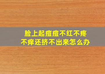 脸上起痘痘不红不疼不痒还挤不出来怎么办