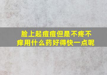 脸上起痘痘但是不疼不痒用什么药好得快一点呢