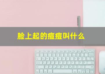 脸上起的痘痘叫什么