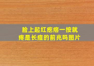 脸上起红疙瘩一按就疼是长痘的前兆吗图片