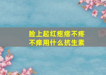 脸上起红疙瘩不疼不痒用什么抗生素