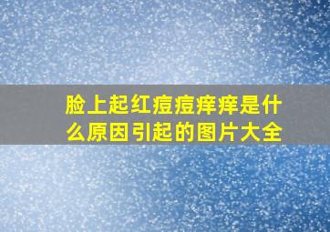 脸上起红痘痘痒痒是什么原因引起的图片大全