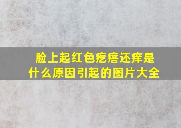 脸上起红色疙瘩还痒是什么原因引起的图片大全