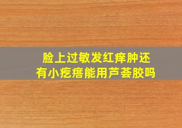 脸上过敏发红痒肿还有小疙瘩能用芦荟胶吗